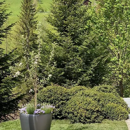 Of Joy Casa vacanze *